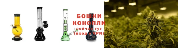бутират Мегион
