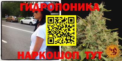 крисы Берёзовский