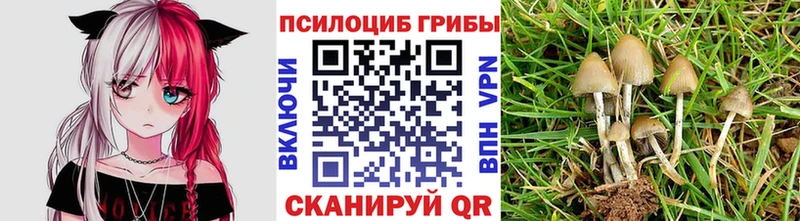 Псилоцибиновые грибы GOLDEN TEACHER  где купить наркотик  Удомля 