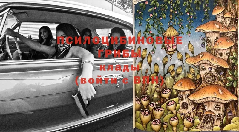 Галлюциногенные грибы Magic Shrooms  Удомля 