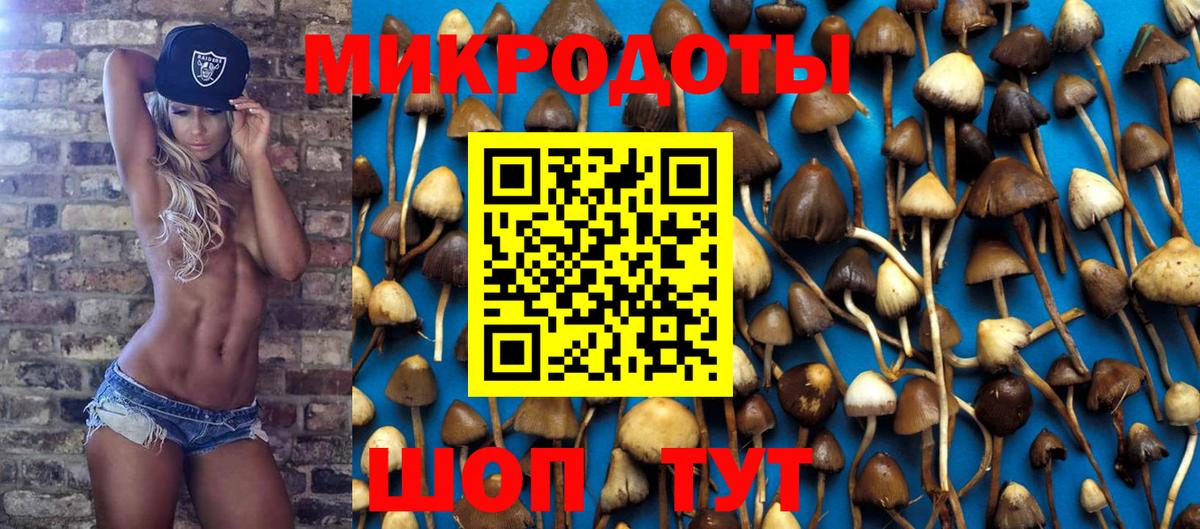 Псилоцибиновые грибы прущие грибы  где продают наркотики  Удомля 
