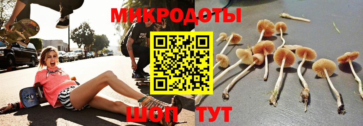 Псилоцибиновые грибы ЛСД Удомля