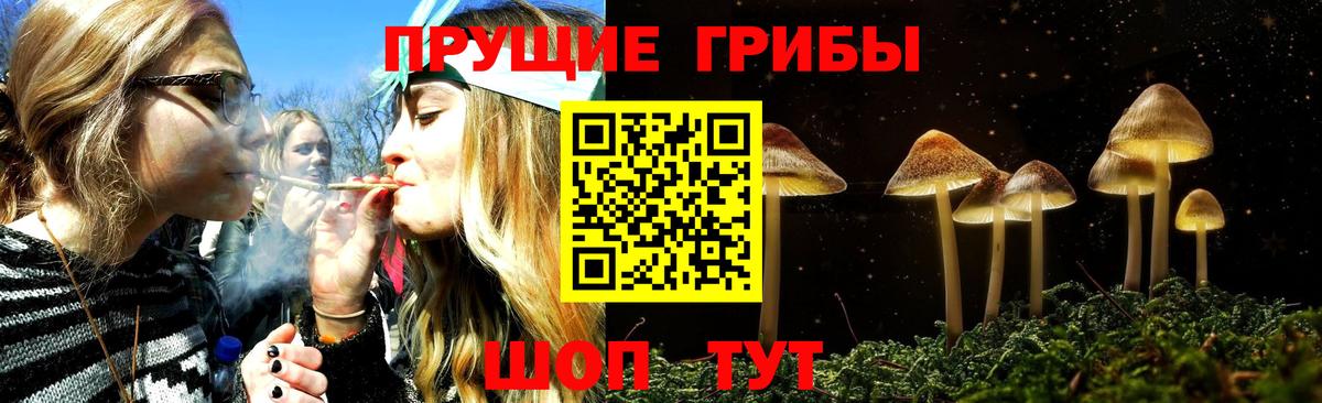 Псилоцибиновые грибы мицелий Удомля