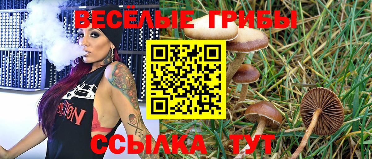 Псилоцибиновые грибы мухоморы  Вход с VPN  Удомля 