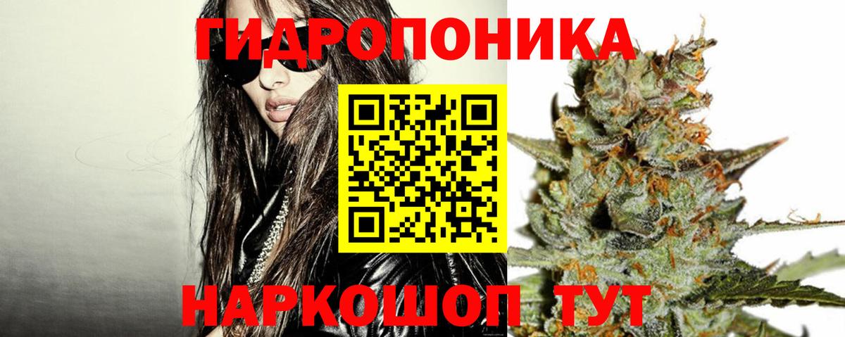 Удомля  Канабис сатива  Вход с VPN  МАРИХУАНА марихуана  Бошки Шишки семена 